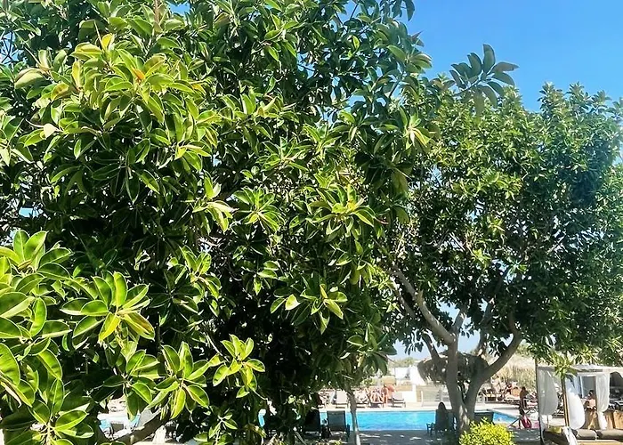 Hotel Summer Village Of Hippokrates - Adults Only