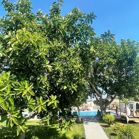 Hotel Summer Village Of Hippokrates - Adults Only